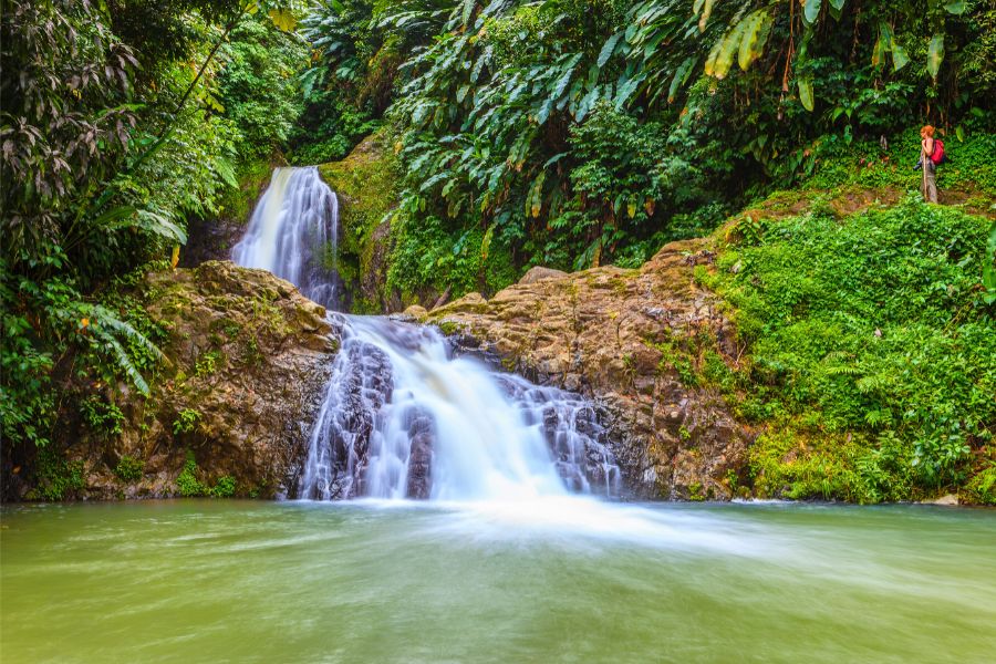 Experience Grenada's Breathtaking Waterfalls on a Scenic Tour