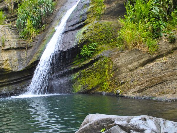 Experience Grenada's Breathtaking Waterfalls on a Scenic Tour